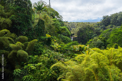 lush rainforest and mountains on far horizon of akaka falls state park hawaii photo