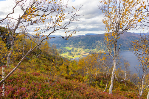 Hike to Kvennhatten in  wonderful autumn weather  Br  nn  y  Velfjorden  Norway  Scandinavia Europe