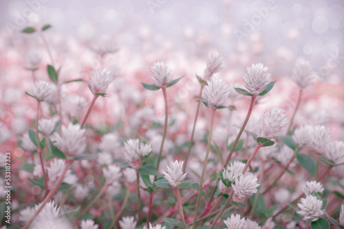 Vintage Pink tone background of little flowers field