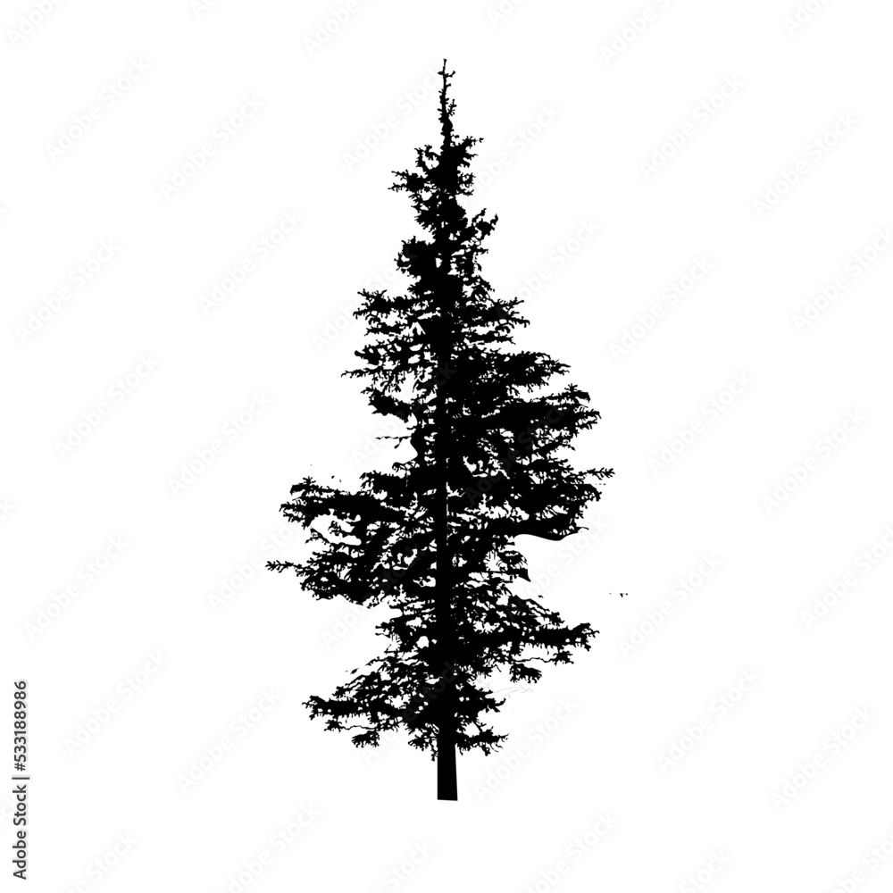 silhouette of spruce tree - vector illustration Stock Vector | Adobe Stock