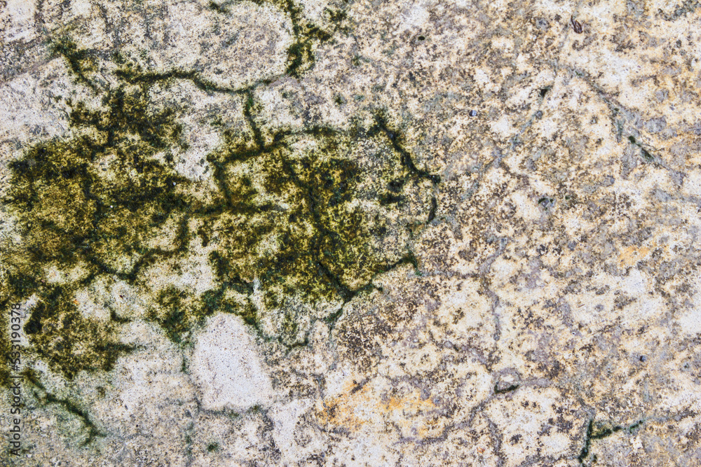 Cracks of old cement floor and moss, abstract nature background Cracks of old cement floor and moss, abstract nature background