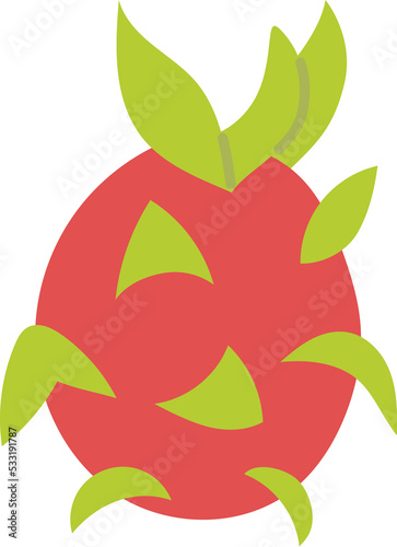 dragon fruit fresh fruit nature food 