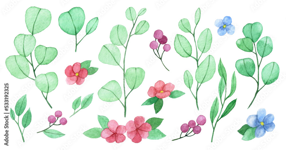 watercolor drawing. set of cute eucalyptus leaves, flowers and berries. simple stylized drawing in pastel colors