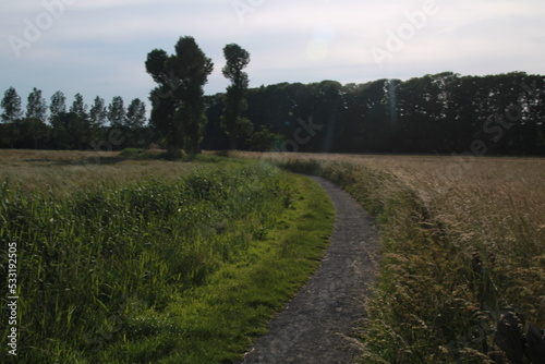 Trail on the farm