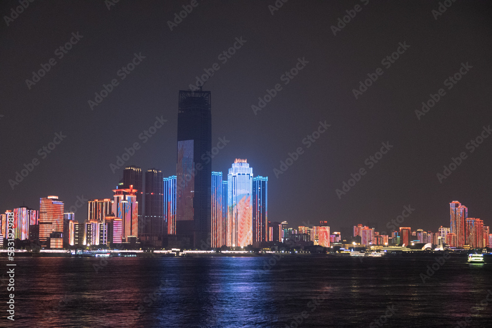 Fototapeta premium city skyline at night