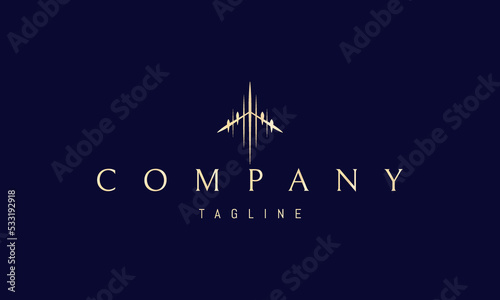 Vector golden logo on which an abstract image of a passenger aircraft in a linear style.
