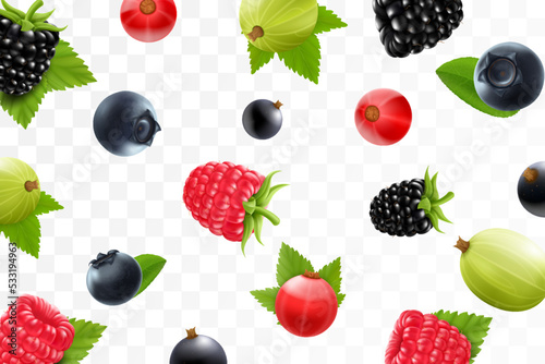 Flying raspberry, blackberry, gooseberry, currant, cranberry, and blueberry on a transparent background. Berries fall at different angles. Focused and blurry objects. 3d realistic vector.