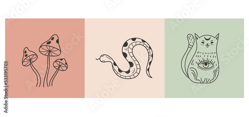 Mystic tarot esoteric witch card design element abstract line art set