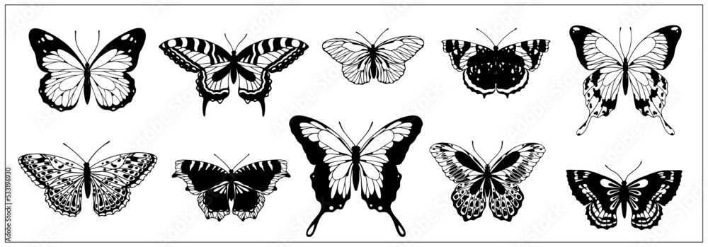 Naklejka premium Collection of sketches of various winged butterfly insects.Vector graphics isolated.