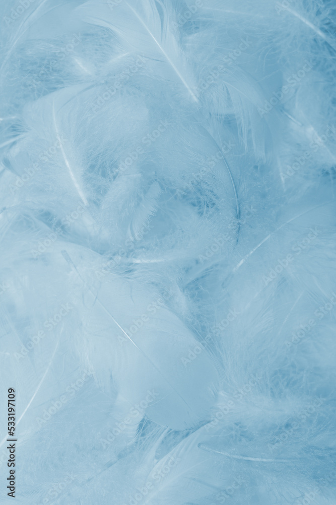 Colorful feather background, top view. Colorful feather background, top view.