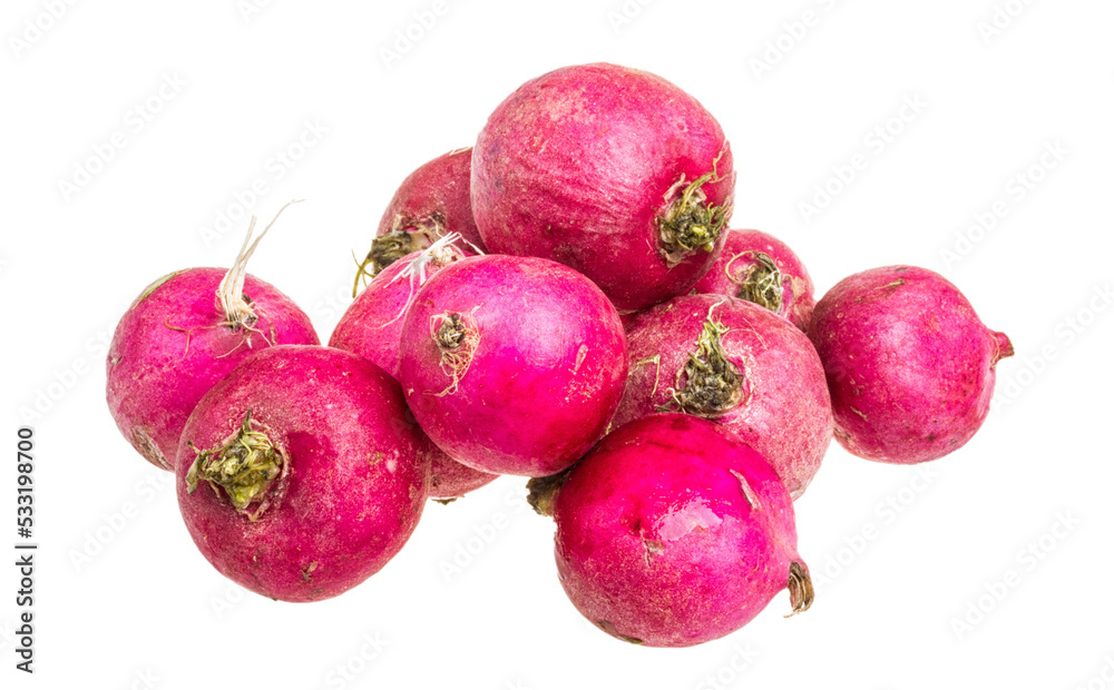 Small garden radish isolated on white background Small garden radish isolated on white background