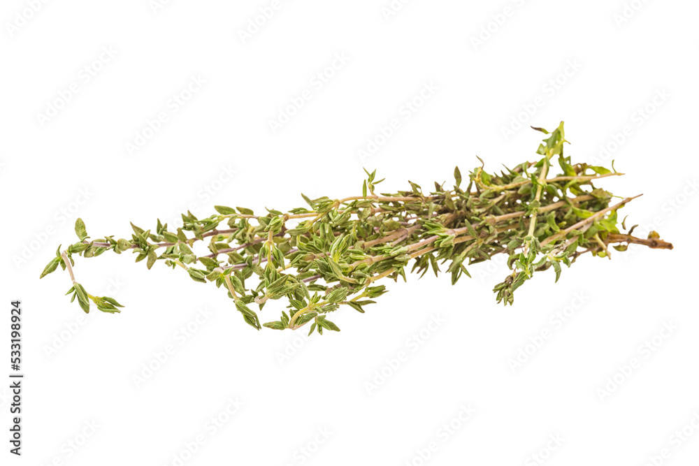 Fresh thyme branch Fresh thyme branch