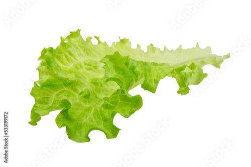 Fotografia Salad leaves