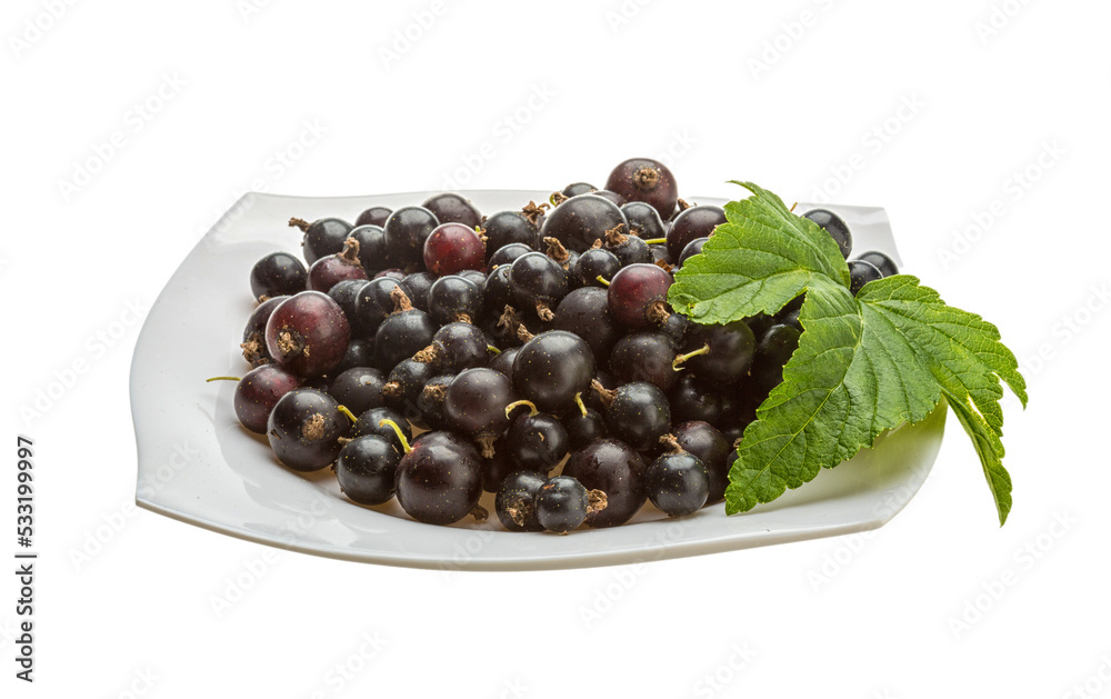 Black currant Black currant