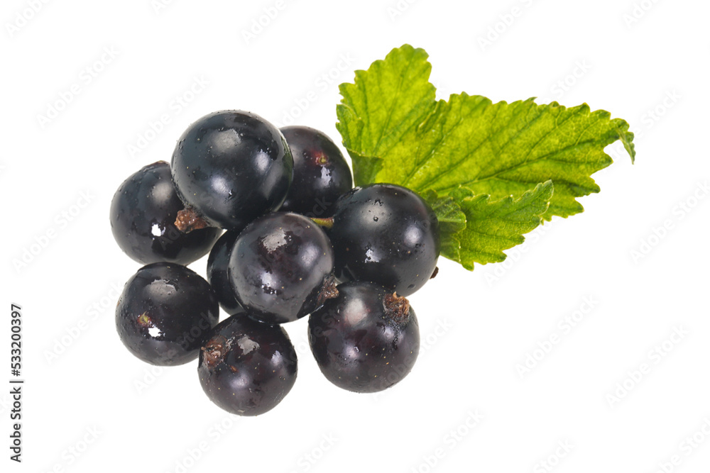 Fresh ripe sweet black currant