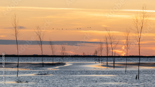 Footpath to Island Mandø under Water, Denmark