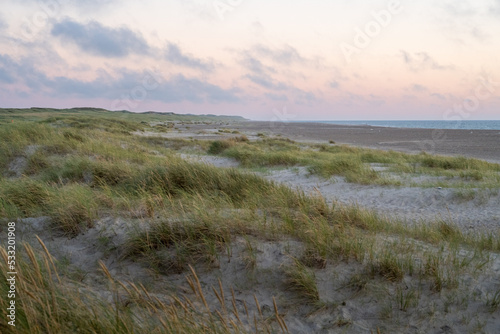 Coastal Dunes in Thy National Park  Denmark