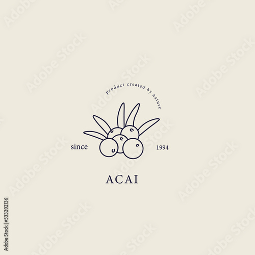 Line art acai berries logo	
