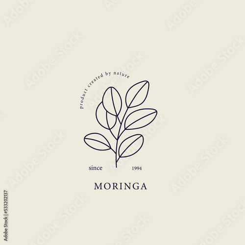 Line art moringa illustration. Botanical line art drawing	
