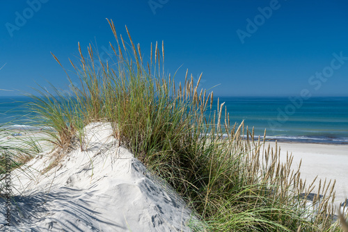 Fototapeta Naklejka Na Ścianę i Meble -  Dunes at Slettestrand Beach, Denmark