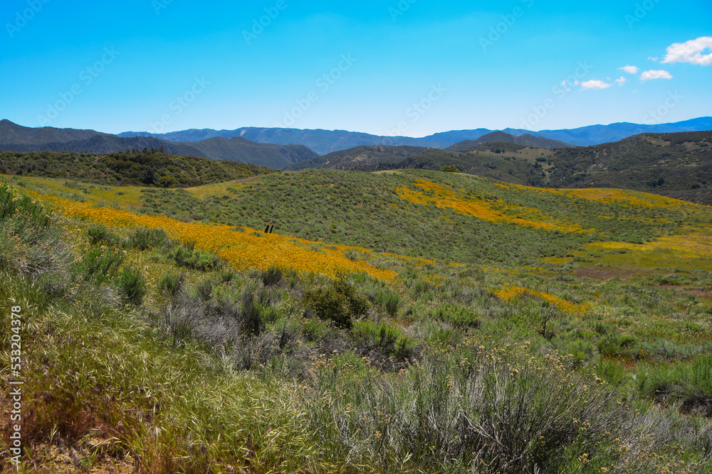 Sierra Madre Ridge, Los Padres National Forest
