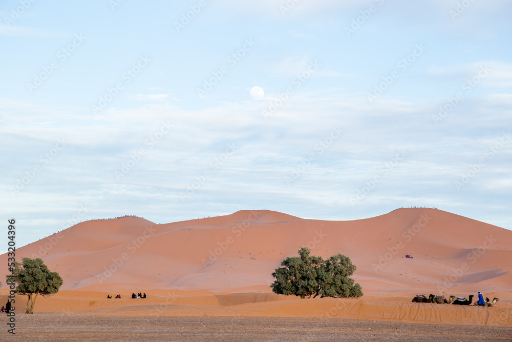 Fototapeta premium landscape in the desert