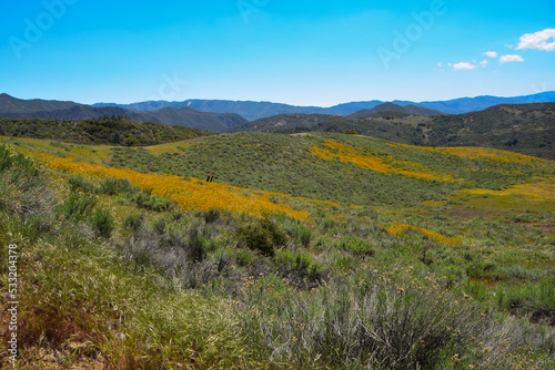 Sierra Madre Ridge  Los Padres National Forest