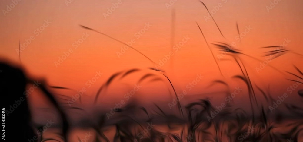 Obraz premium sunset view on the western horizon