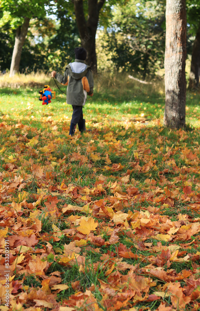child walking in autumn park