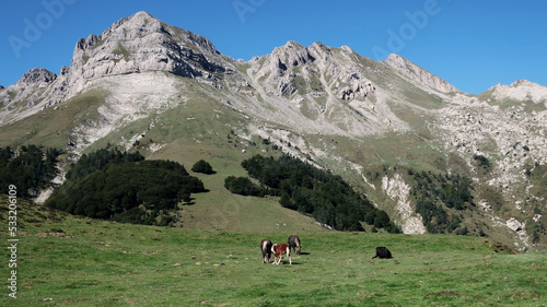 Caballos en la montaña © javisanx
