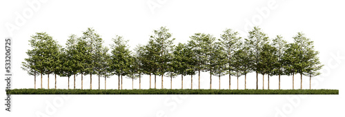 3ds rendering image of front view of trees on grasses field.