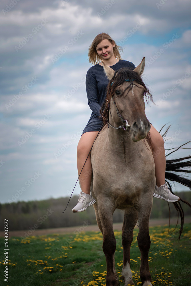 Obraz premium A young beautiful blonde girl trains a horse in the field.