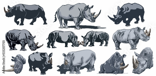 Color big set of rhinoceroses on white isolated, vector illustration,graphical drawing. Stylish print elements, savanna habitant