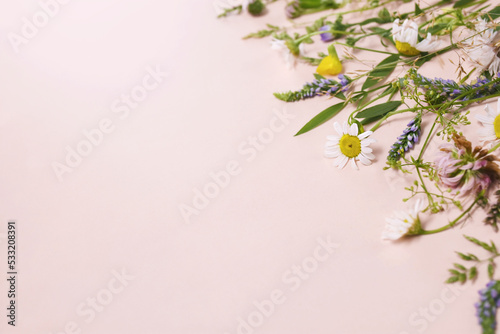 Medicinal field flowers and summer herbs background, selective focus, toned