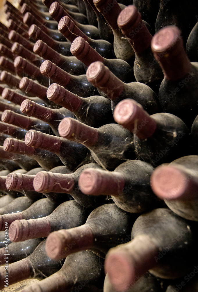 Archive wine bottles