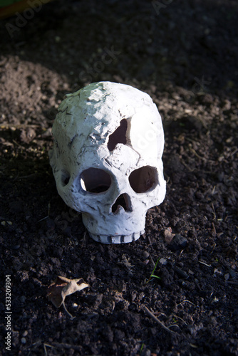 Ceramic skull on the black autumn ground