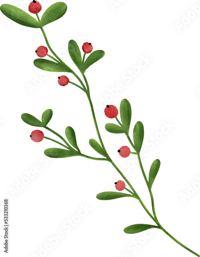 Hand drawn illustration of mistletoe branch. Botanical clipart for Christmas greeting card making.