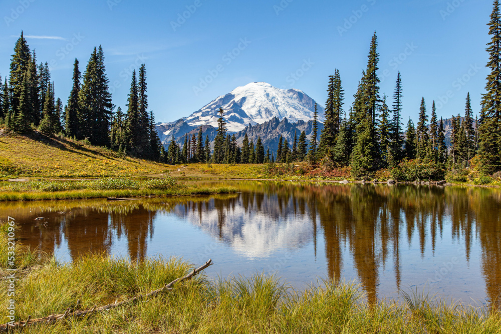 Mt Rainier