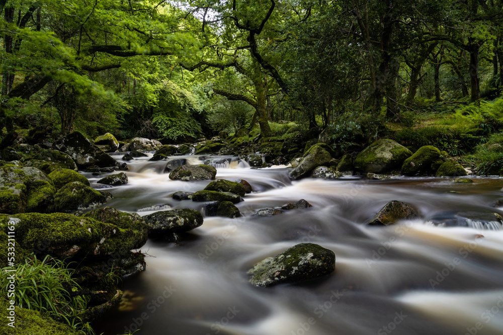 idyllic and lush forest woodlands scene with a river fowing through it over rocks and boulders