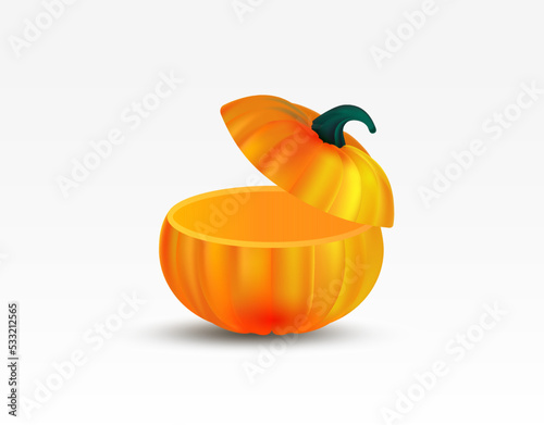 Sliced orange pumpkin. Realistic pumpkin with lid. Vector illustration Pumpkin isolated on white background.