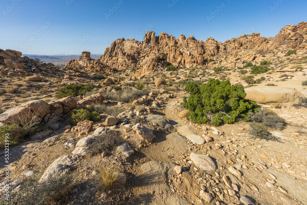 hiking maze loop trail in the joshua tree national park, usa
