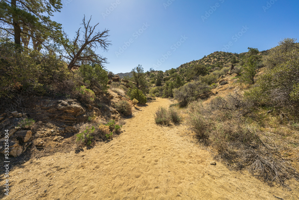 hiking the west side loop trail in black rock canyon, joshua tree national park, usa hiking the west side loop trail in black rock canyon, joshua tree national park, usa