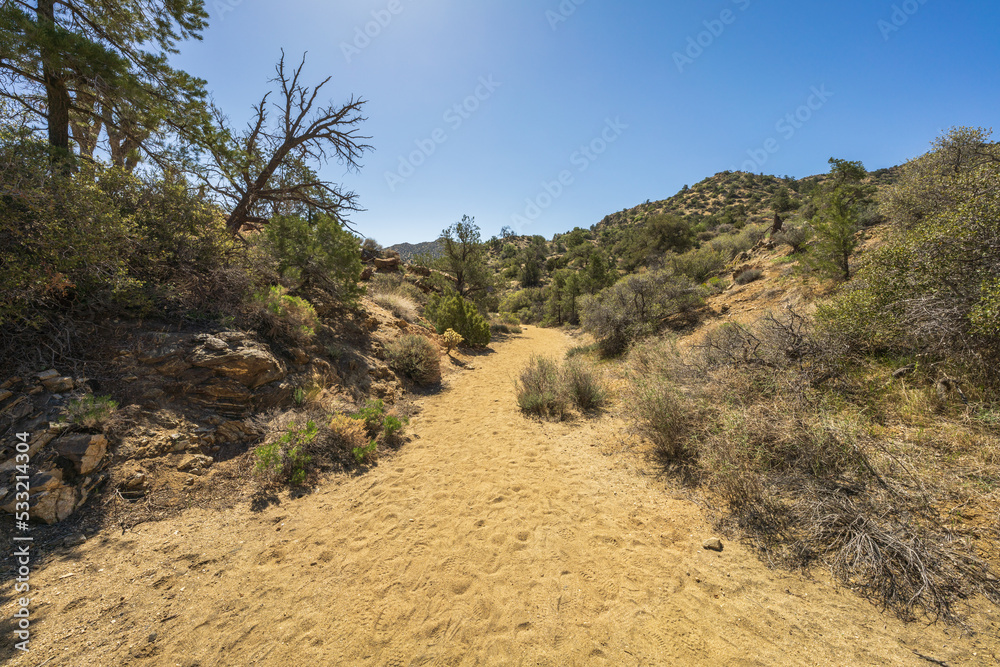 hiking the west side loop trail in black rock canyon, joshua tree national park, usa