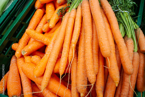 carrots on a regional seasonal market in autumn with local products in Germany, called "Herbstmarkt" (transl. autumn market)