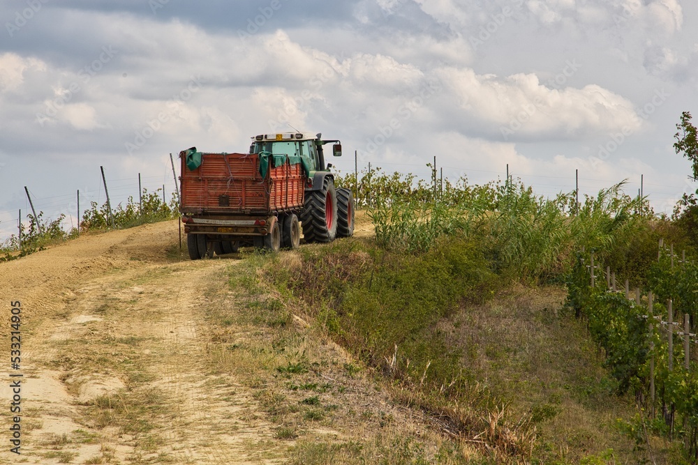 Grape harvesting machine in a hillside of piedmont in Italy Grape harvesting machine in a hillside of piedmont in Italy
