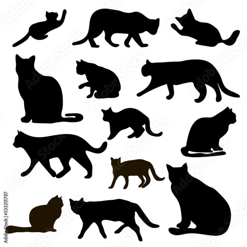 Black silhouette of a cat.