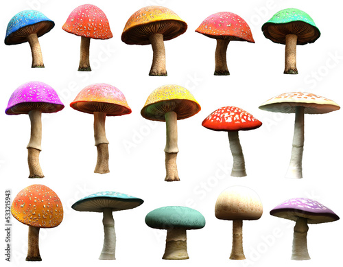 Mushrooms and toadstools 3D illustration	 photo
