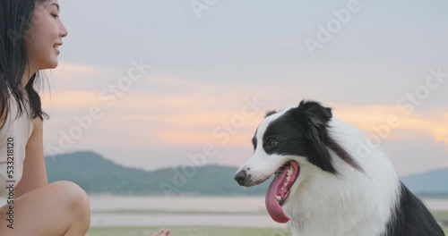 Cute black and white border collie dog touch owner hand by paw, give high five to woman. Attractive young asian female animal trainer play with her smart cheerful pet with sunset in park. Slow motion.