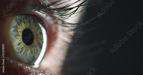 Zoom on eye, vision and cyber security iris for safety, trust and cybersecurity access. Model with texture, face skin and makeup cosmetics on human lashes in blink motion while thinking and planning