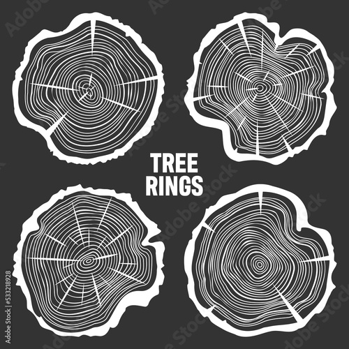White round tree trunk cuts with cracks, sawn pine or oak slices, lumber. Saw cut timber, wood. Wooden texture with tree rings. Hand drawn sketch. Vector illustration